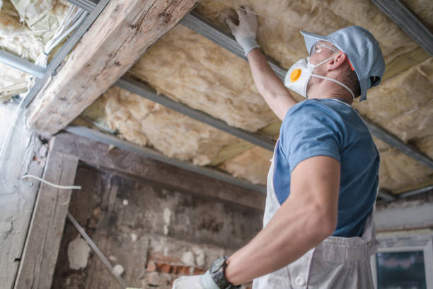 Best Blown-in Insulation  in Socastee, SC