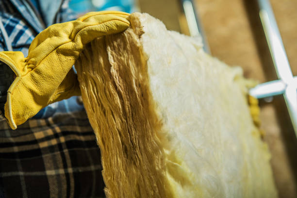 Best Spray Foam Insulation  in Socastee, SC