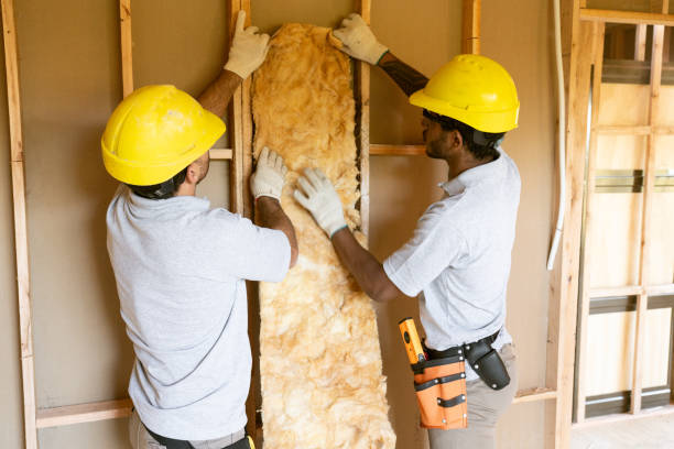 Insulation Repair Services in Socastee, SC