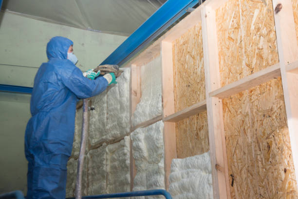 Best Garage Insulation Installation  in Socastee, SC