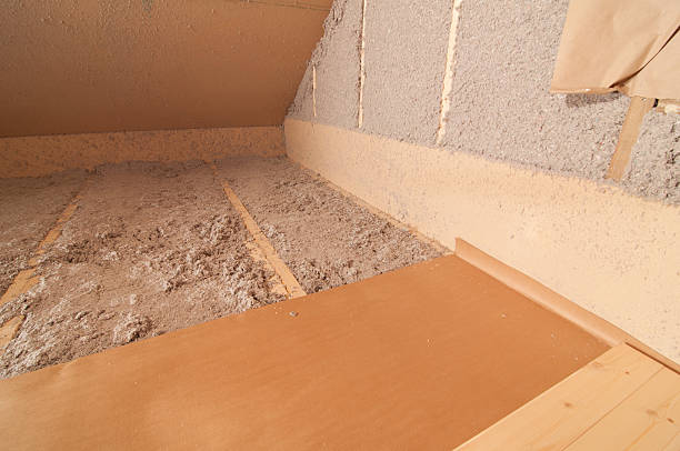 Best Insulation for New Construction  in Socastee, SC